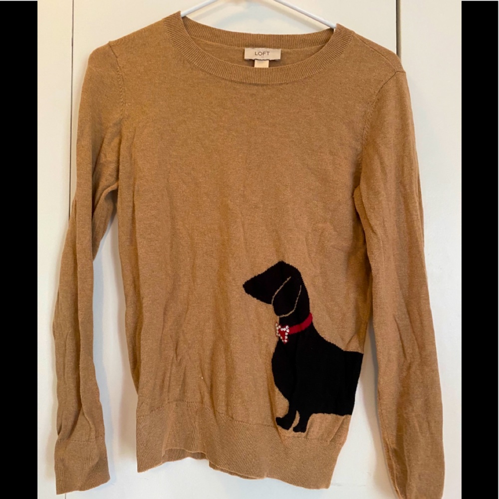 Adorable dog sweater from Loft